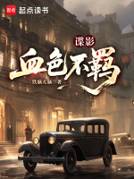 小说《谍影血色不羁》封面