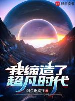 小说《我缔造了超凡时代百度百科》封面