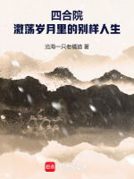 小说《四合院激荡岁月里的别样人生大结局》封面