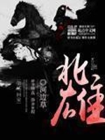 小说《北雄百度百科女主角》封面