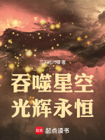 小说《吞噬星空光辉永恒免费》封面