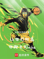 小说《让你打耐高,你跑去打NBA小说叫什么名》封面