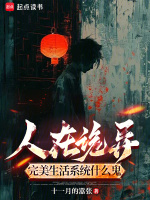 小说《完美生活网系统》封面