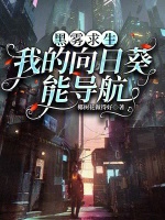 小说《黑雾求生:我的向日葵能导航》封面