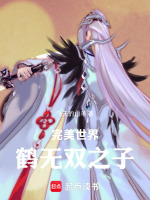 小说《完美世界鹤无双之子小说免费》封面