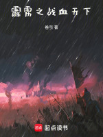 小说《苦境之战血天下百度云网盘》封面