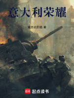 小说《意大利荣耀TXT》封面