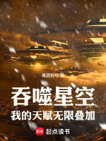 小说《吞噬星空我的天赋无限叠加最新章节更新时间是多少》封面