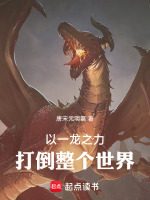 小说《以一龙之力打世界无防盗》封面