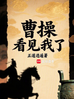 小说《曹操看见我了》封面