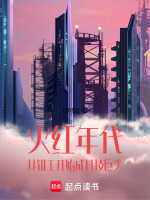 小说《火红年代简介》封面
