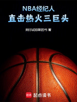 小说《nba热火冠军》封面