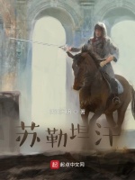 小说《大漠雄鹰苏勒坦汗泱泱大明》封面