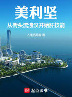 小说《亲历美利坚》封面