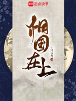 小说《相国在上》封面