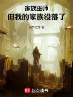小说《小说家族危机》封面