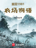 小说《重回1981小说》封面