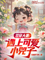 小说《双穿大唐:遇上可爱小兕子小说》封面