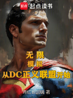 小说《无限正义mb》封面