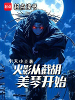 小说《火影:从截胡美琴开始小说》封面