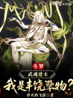 小说《斗罗我武魂是魂环》封面
