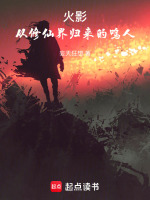 小说《火影:从修仙界归来的鸣人在线观看》封面