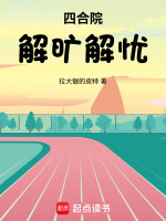 小说《四合院:解旷解忧免》封面