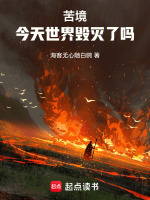 小说《苦境:今天世界毁灭了吗全文》封面