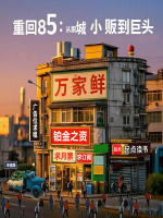 小说《重回1985》封面