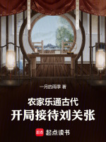 小说《开农家乐小说》封面