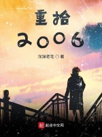 小说《重拾是什么意思》封面