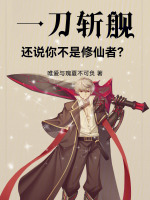 小说《一刀斩叫什么名字》封面