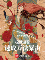小说《极武道英武》封面