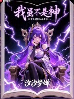 小说《雷电将军不是雷神》封面