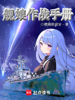 小说《舰娘作战手册全本TXT资源》封面