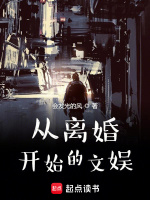 小说《从离婚开始的文娱123读》封面