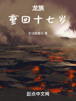 小说《龙族:重回十七岁把酒敬春风》封面
