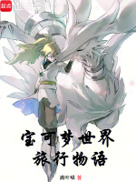 小说《宝可梦旅途世界观》封面