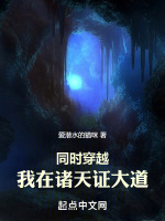 小说《同时穿越:我在诸天证大道》封面