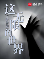 小说《这无限的世界百度百科》封面