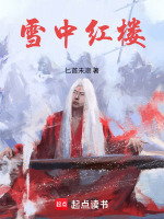 小说《雪中红楼小说在线阅读》封面