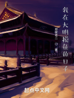 小说《我在大明的生涯》封面