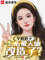小说《华娱浪子怎么被天仙改造了TXT下载》封面