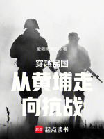 小说《穿越到民国去黄埔军校的小说》封面