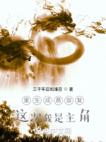 小说《重生慕容复我是boss》封面