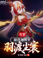 小说《斗罗崩坏降临》封面