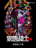 小说《DC家的骑士爱曲小说》封面