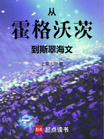 小说《从霍格沃兹开始旅行》封面