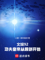 小说《从功夫开始穿越》封面