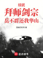 小说《主角拜师岳不群的穿越小说》封面